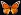 Butterfly Butterfly