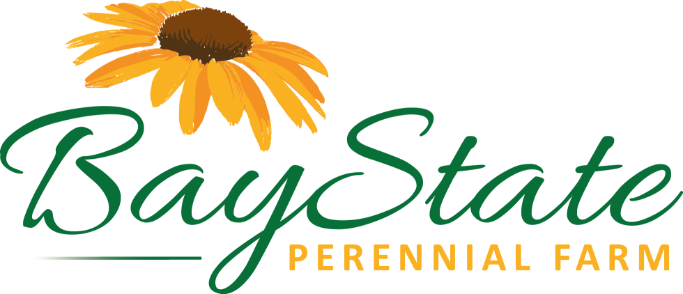 Bay State Perennial Farm